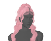 𝒩. Laurinda Gum