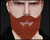 Lord Beard Ginger MH