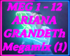 Ariana Grandeth Magamix1