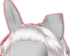 Gray Rabbit ears
