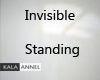 !A Invisible Standing 