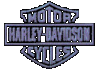 Harley Davidson Flash