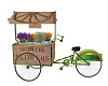 Country Bicyle Flower Ca