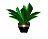 AAnimated Tropical plant