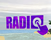 Radio & Youtube Player