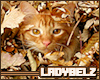 [LB15] Autumn Cat