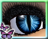 (Ð) Sparkle Top Lashes