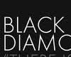 black diamond tow bed 