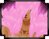 Chocostra ShoulderTuff