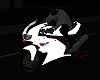 Ducati 1000DS