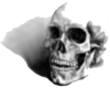 x0 skull 1