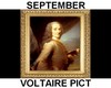 (S) Voltaire Painting