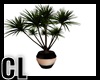 (CL) POND VIEW PLANT