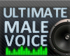 250 MALE VOICE BOX 2011
