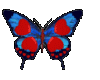 Heart winged butterfly