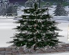 CHRISTMAS LIGHT TREE
