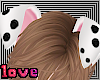 dalmatian ears puppy m