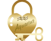 Aquarius Heart Lock