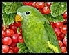 Redcurrant Parakeet Art
