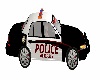 Police Car Black n White