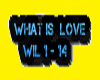 WHAT IS  LOVE  REMIX