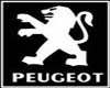 !Mx!Peugeot room