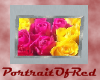 R Roses Picture #001