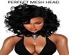 PERFECT MESH HEAD