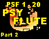 PSY FLUTE - PART 2