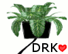 -Drk- Black Potted Plant