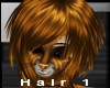 Resset Hair 1 (f)
