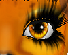 Furry Eyes Sunflower