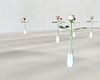 white single rose vase