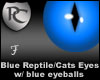 Blue Reptile / Cats Eyes