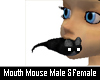 [B] Mouth Mouse M&F