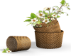 Flowers and Basket
