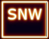 SNOWFLAKES PARTICLE