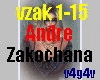 Andre-Zakochana