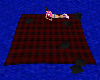 [E] Black & Red Chat Rug