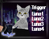 QSJ-Luna Cat