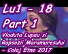 Vladuta Lupau Colaj 2017