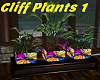 {SH} Cliff Plant 1