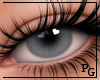 PG! Grey Eyes PG! Grey Eyes