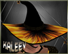 c Fire Sorceress Hat