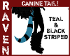 TEAL & BLK CANINE TAIL!
