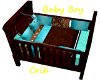 Baby Boy Crib