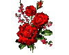 Sparkling Red Roses