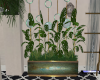 Dubai Planter
