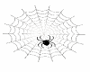 *M* Spider web deriv