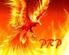 !PRP Phoenix Paci